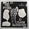 13Th Floor Elevators (Thirteenth Floor Elevators) -- Bull Of The Woods (2)