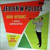 Andy Aftowicz -- Jesien w polsce (2)