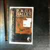 Halley Paul -- Angel On A Stone Wall  (2)