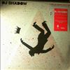 Shadow DJ -- Live In Manchester: The Mountain Has Fallen Tour (2)