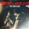 Guy Buddy & Wells Junior -- Pure Raw Blues (2)