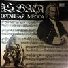 Weberszinke Amadeus -- Bach -  Organ Mass (1)