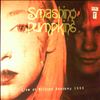 Smashing Pumpkins -- Live At Brixton Academy 1996 (2)