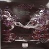 Chemical Brothers -- Woodstock (2)