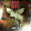 Mr. Big -- What If... (2)