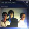 Shadows -- Life in the jungle (2)