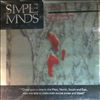 Simple Minds -- Ghostdancing/Jungleland (2)