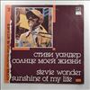 Wonder Stevie -- Sunshine of my life (2) (1)