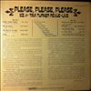 Ike & Turner Tina -- Please, Please, Please - Ike & Turner Tina Revue Live (2)