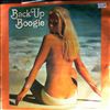 Wild Honey -- Back Up And Boogie Beach Boys Hits- Disco Style (1)