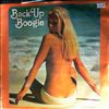 Wild Honey -- Back Up And Boogie Beach Boys Hits- Disco Style (1)