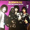 Blodwyn Pig -- British Radio Sessions 1969-1974 (2)