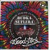 Budka Suflera -- Cien Wielkiej Gory Live - Woodstock Festival Poland (3)