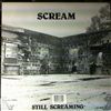 Scream (Stahl F.(Foo Fighters)/ Stahl P.(Earthlins, Desert Sessions)) -- Still screaming (1)