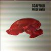 Scaffold -- Fresh liver (1)