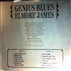 James Elmore -- Genius Blues (1)