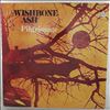 Wishbone Ash -- Pilgrimage (1)