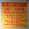 Spencer Jon Blues Explosion -- Live 11-23-93 (1)