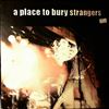 A Place To Bury Strangers -- A Place To Bury Strangers (1)