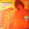 Flaming Lips -- Death Trippin' At Sunrise: Rarities, B-Sides & Flexi-Discs 1986-1990 (2)