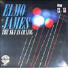 James Elmo -- Sky Is Crying (2)