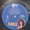 Tyrannosaurus Rex (T. Rex) -- Great hits (3)