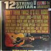 Folkswingers -- 12 String Guitar! Vol. 2 (3)