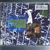 Gin Blossoms -- New Miserable Experience (2)