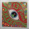 13Th Floor Elevators (Thirteenth Floor Elevators) -- Psychedelic Sounds Of The 13th Floor Elevators (2)
