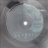 Adele -- Skyfall (3)