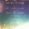 Lynch Ray -- Sky Of Mind (1)