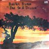 Brown Buster -- Lost In A Dream  (1)