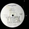 Tyrannosaurus Rex (T. Rex) -- Born To Boogie The Very Best Of T.Rex (3)