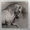 GusGus (Gus Gus) -- Arabian Horse (3)
