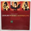 Livin' Joy -- Where Can I Find Love (2)