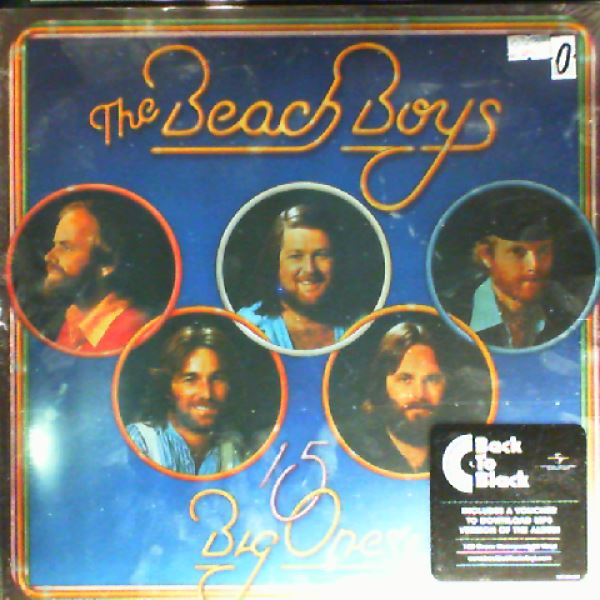 Beach Boys — 15 Big Ones