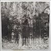 DeWalta -- Wander (2)