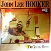 Hooker John Lee -- I'm Going Home (2)