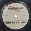 North Mississippi Allstars -- World Boogie Is Coming (3)