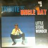 Wonder Stevie Little -- Tribute To Uncle Ray (2)