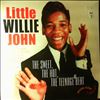 John Willie Little -- Sweet, The Hot, The Teenage Beat (1)