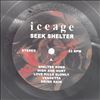 Iceage -- Seek Shelter (2)
