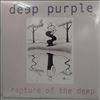 Deep Purple -- Rapture Of The Deep (2)