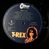 Tyrannosaurus Rex (T. Rex) -- Great Hits (2)