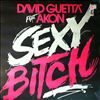 Guetta David Feat. Akon -- Sexy Bitch (2)