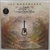 Bonamassa Joe -- An Acoustic Evening At The Vienna Opera House (2)