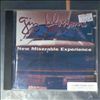 Gin Blossoms -- New Miserable Experience (2)