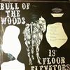 13Th Floor Elevators (Thirteenth Floor Elevators) -- Bull Of The Woods (1)